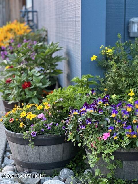 1595 Bellevue Circle