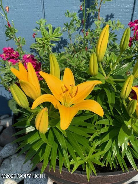 1595 Bellevue Circle