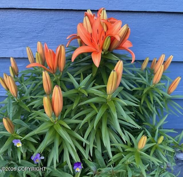 1595 Bellevue Circle