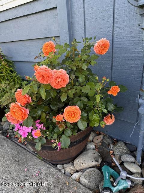 1595 Bellevue Circle