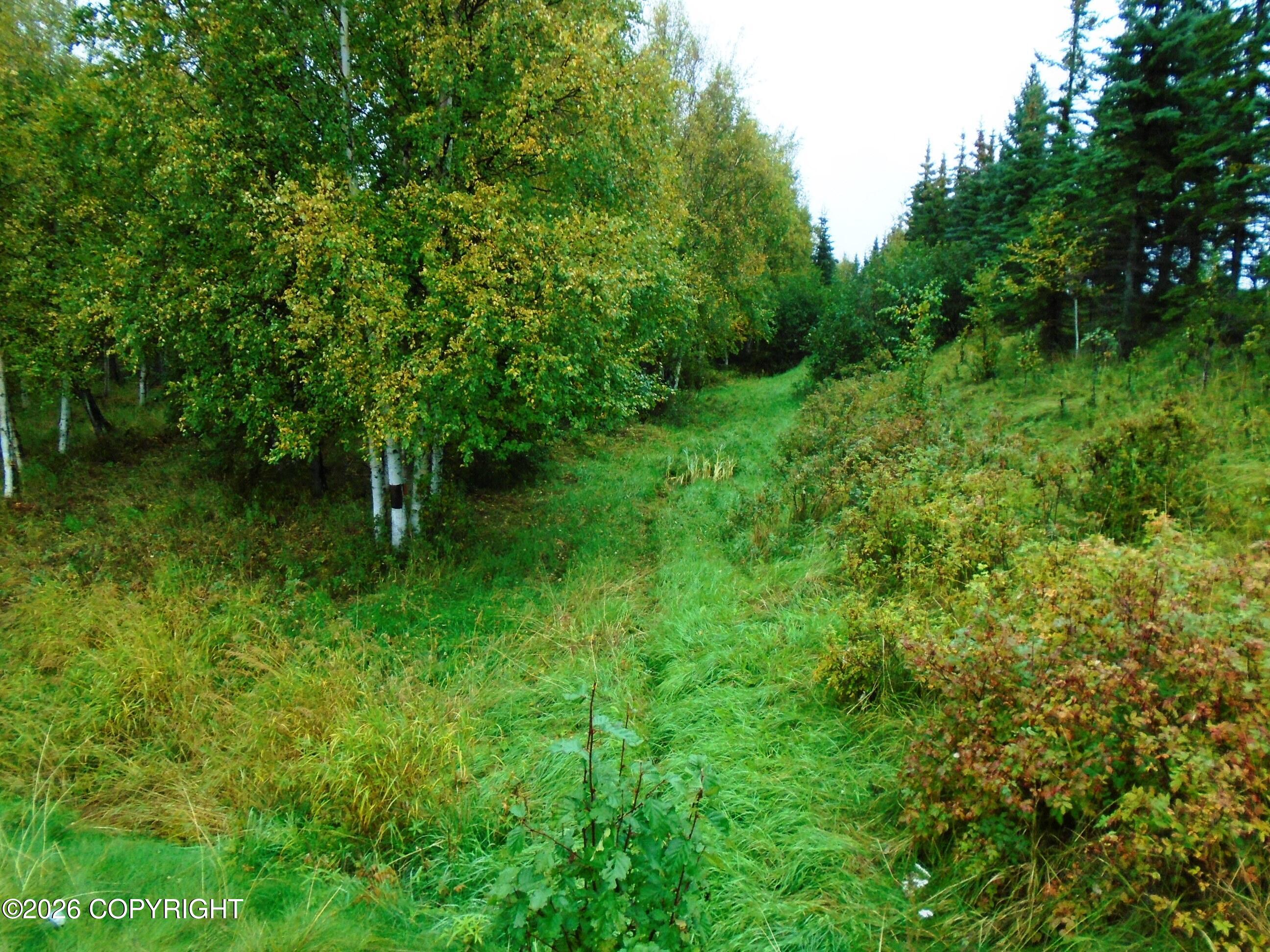 Lot 2 Arctic Boulevard