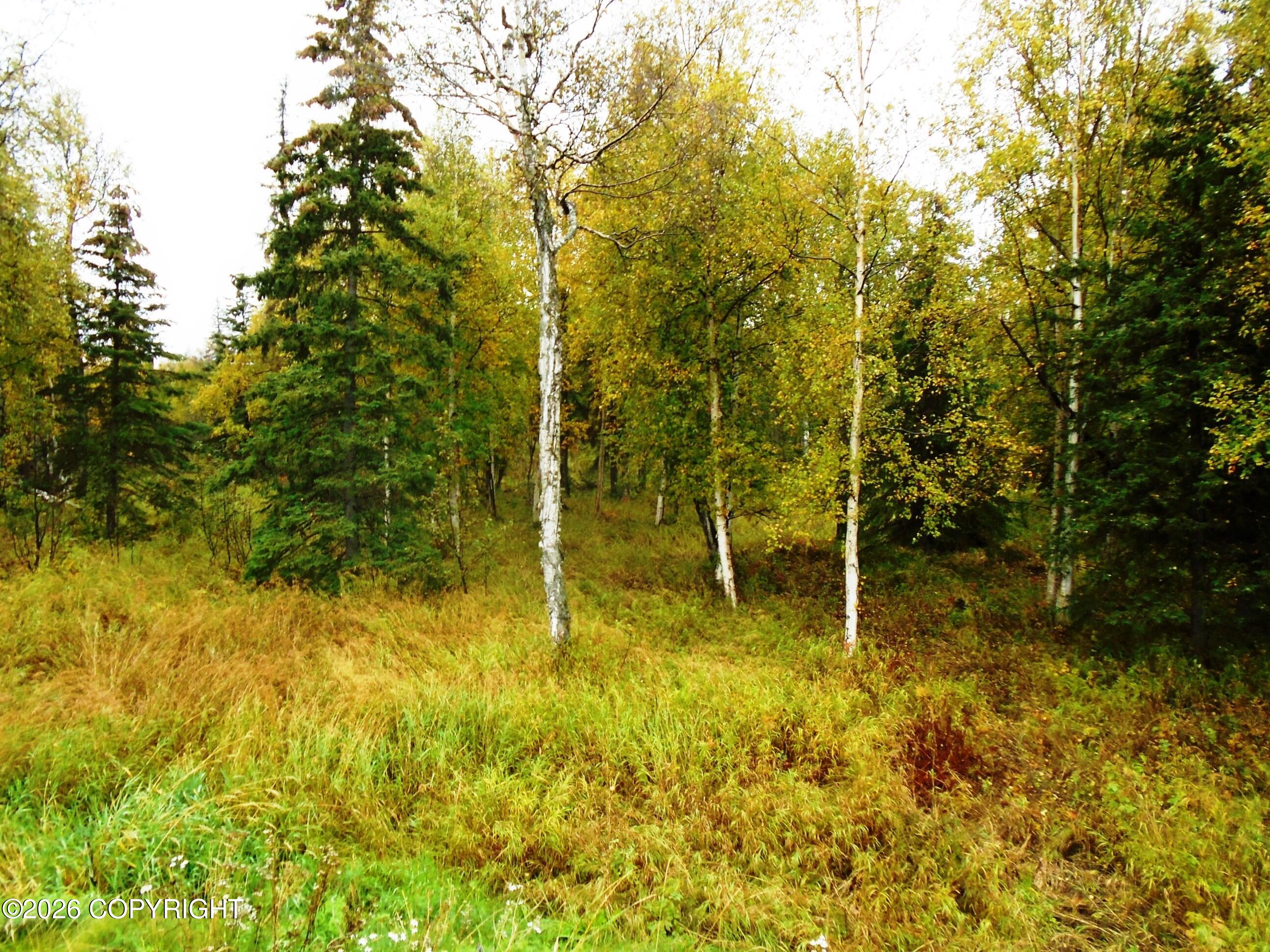 Lot 2 Arctic Boulevard