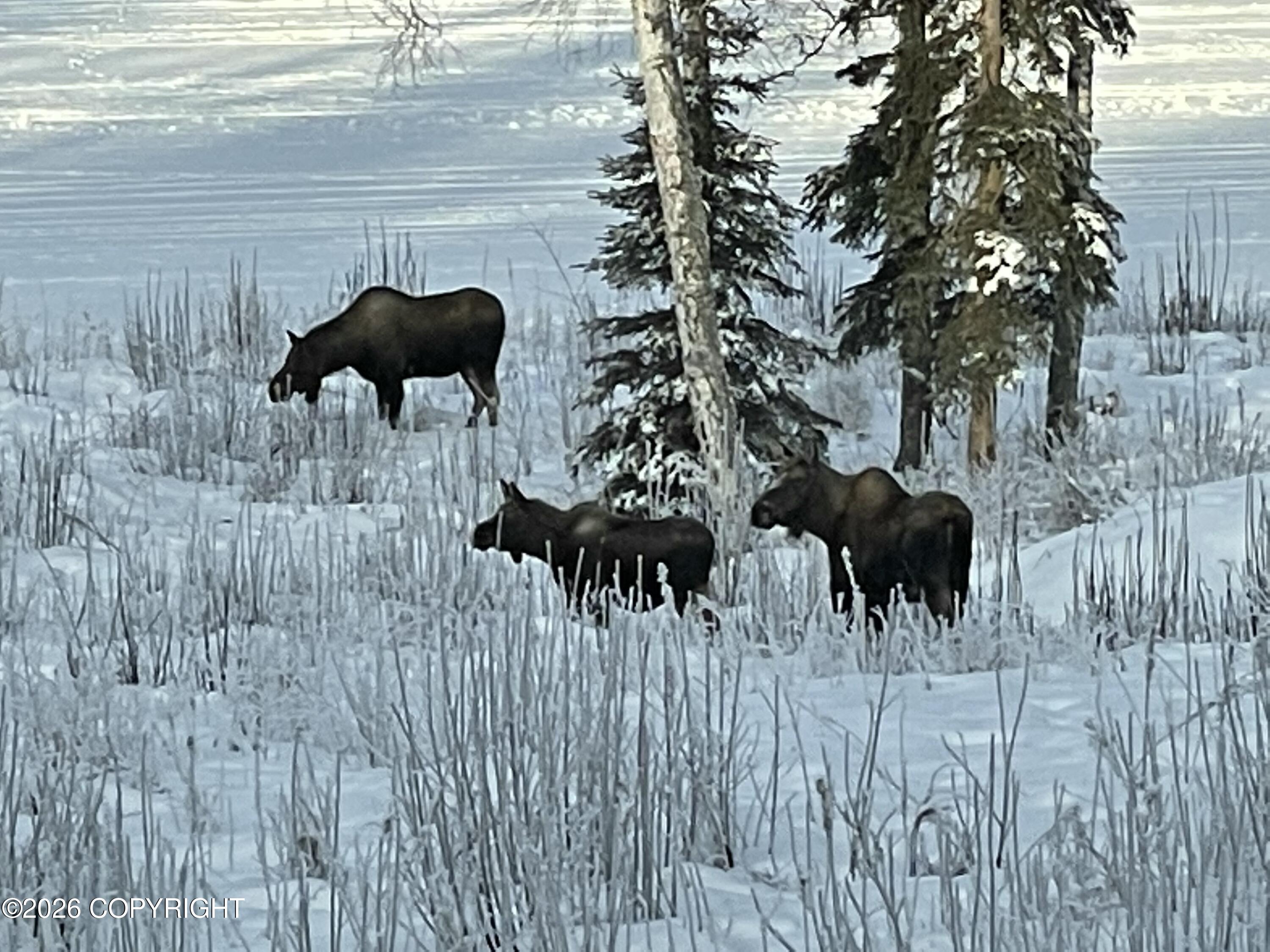 3160 N Paradise Lane