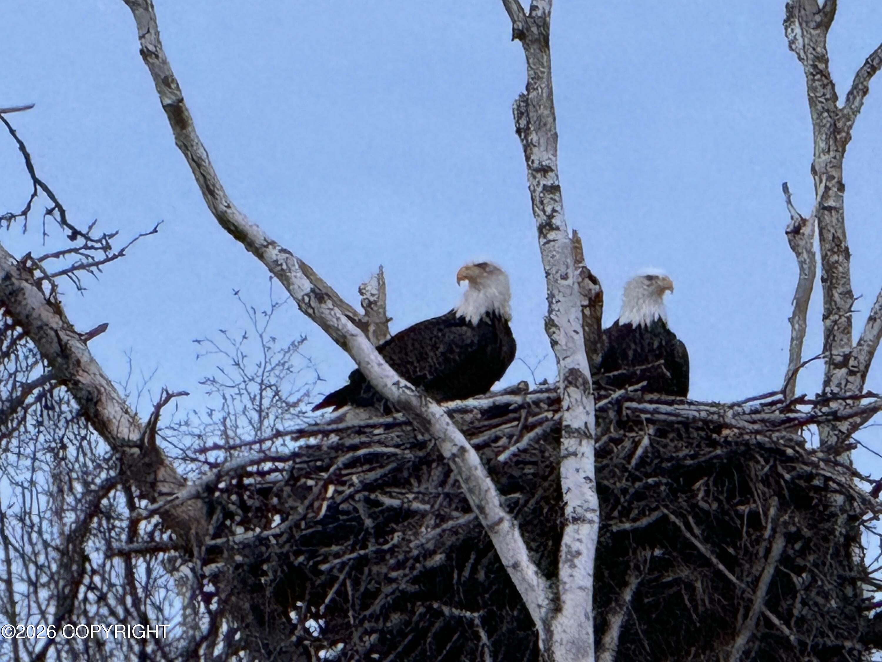 3160 N Paradise Lane