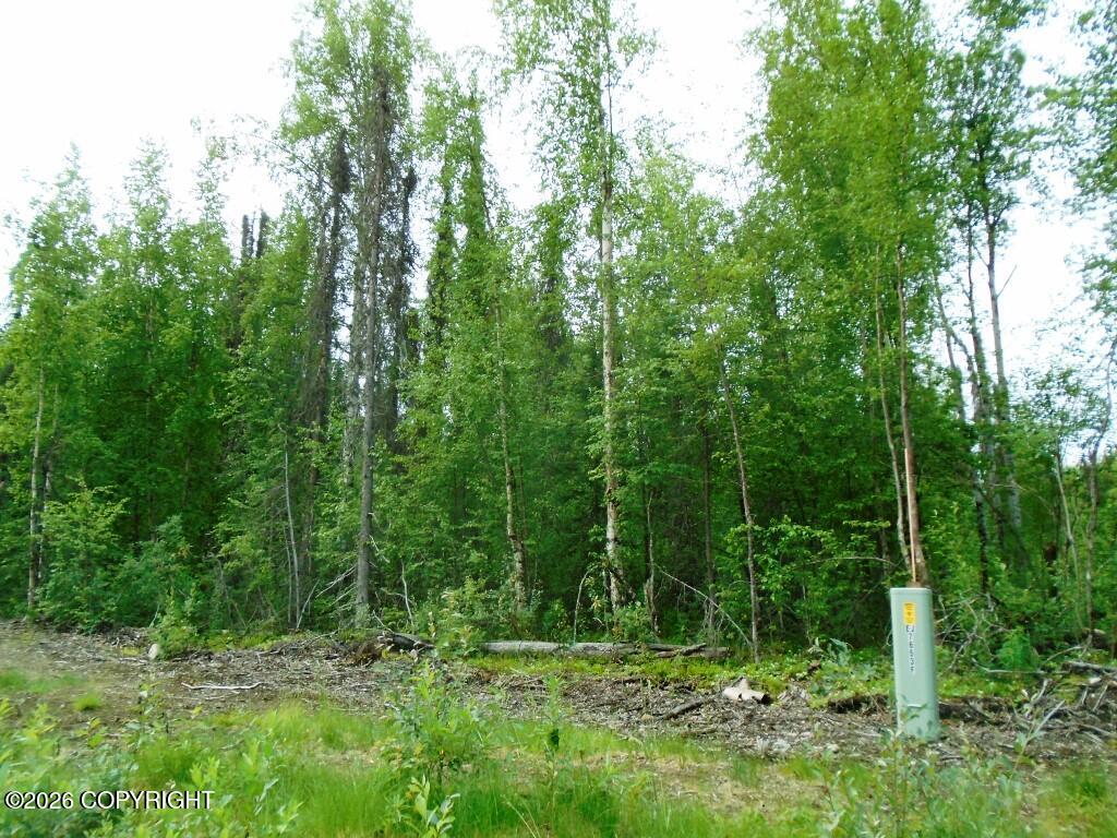 20026 E Deep Woods Way