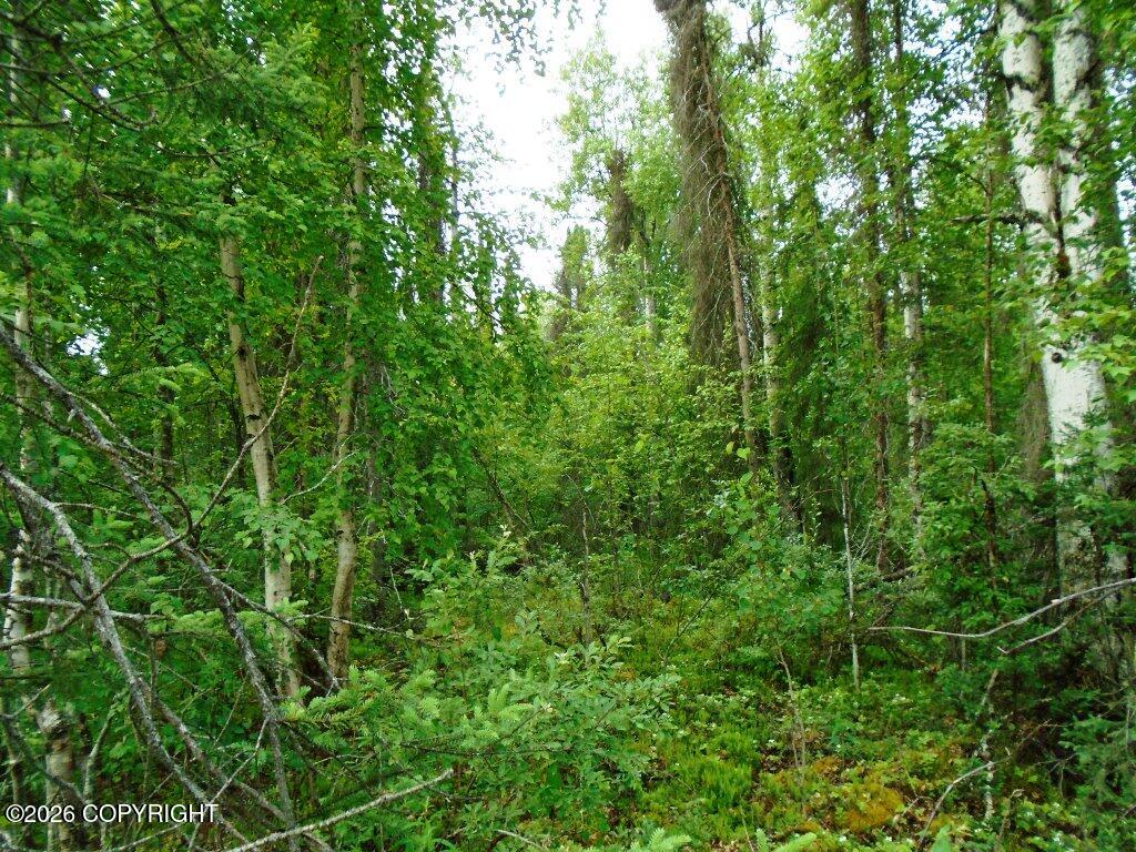 20026 E Deep Woods Way