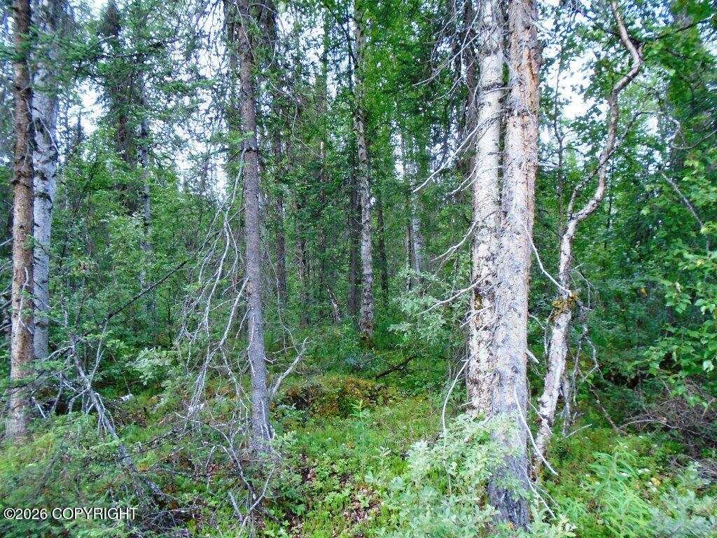 20026 E Deep Woods Way