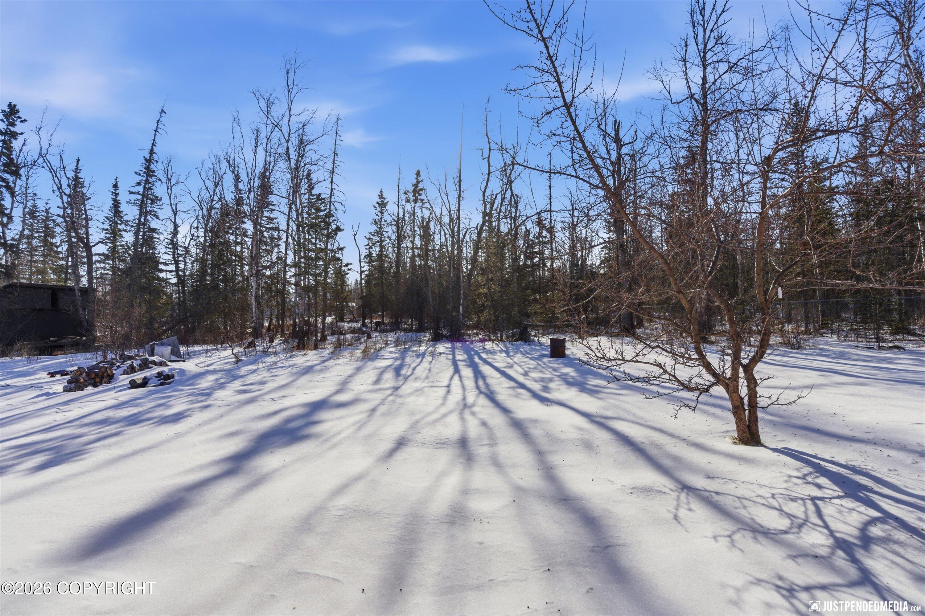 1005 E Susitna Drive