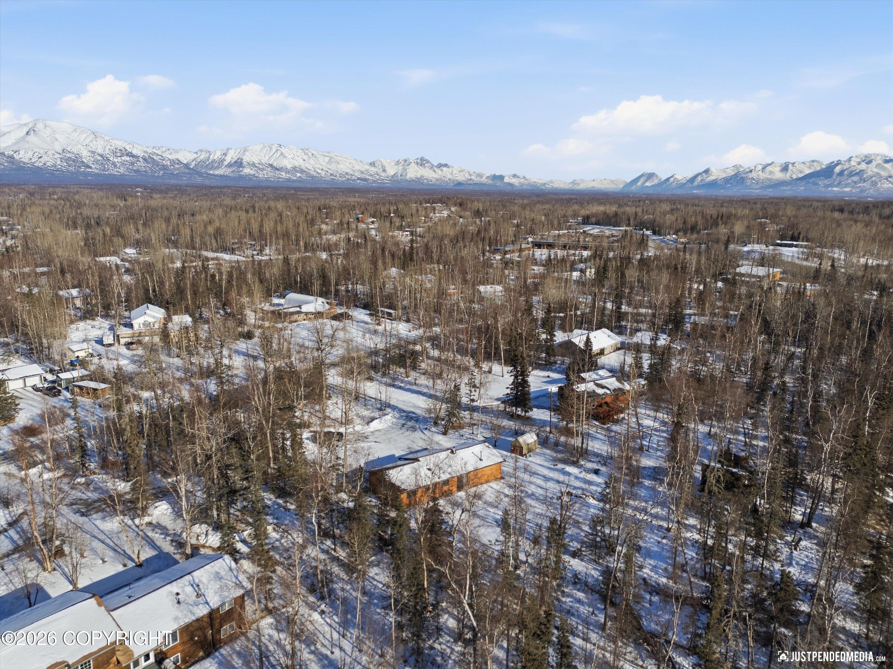 1005 E Susitna Drive