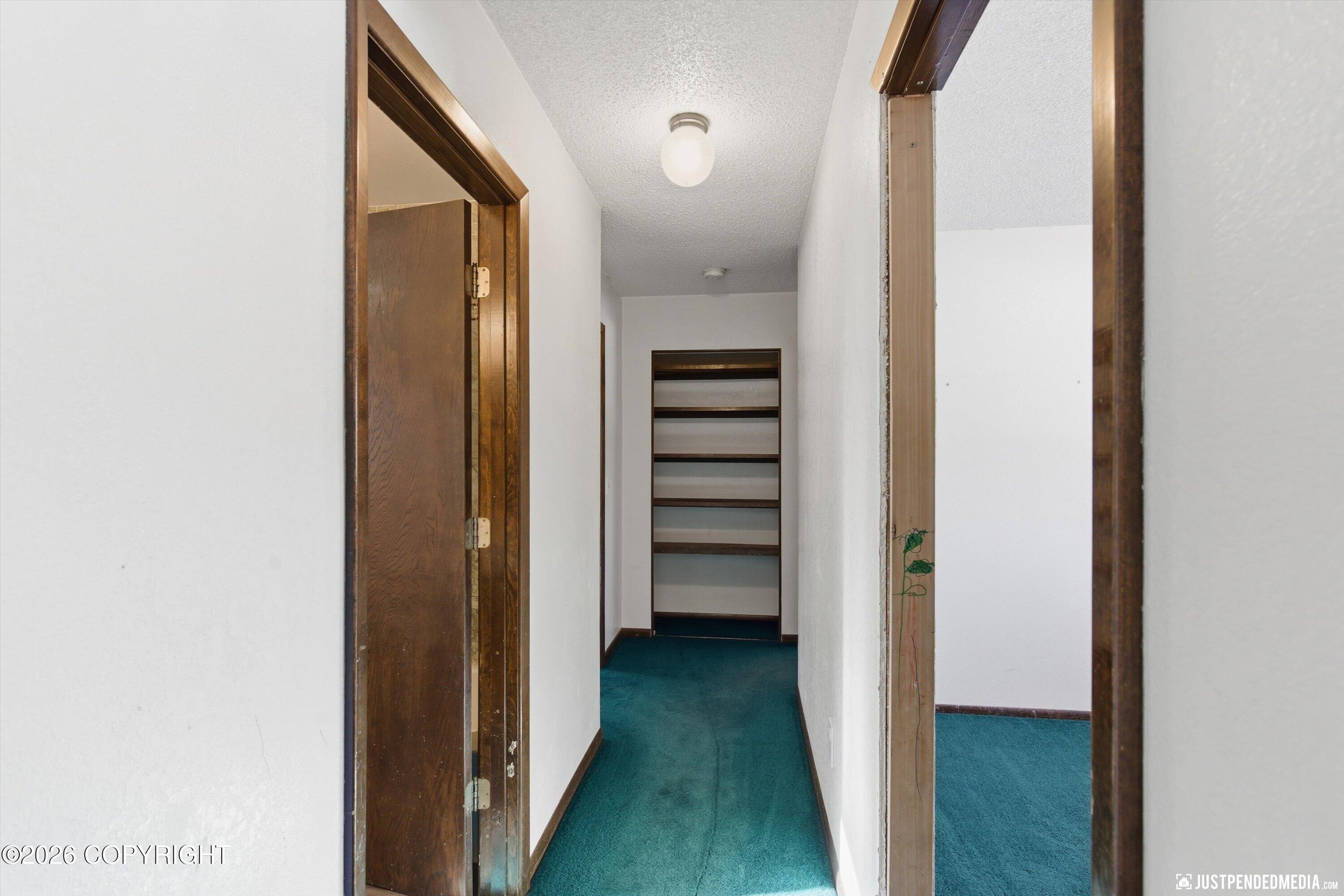 1005 E Susitna Drive