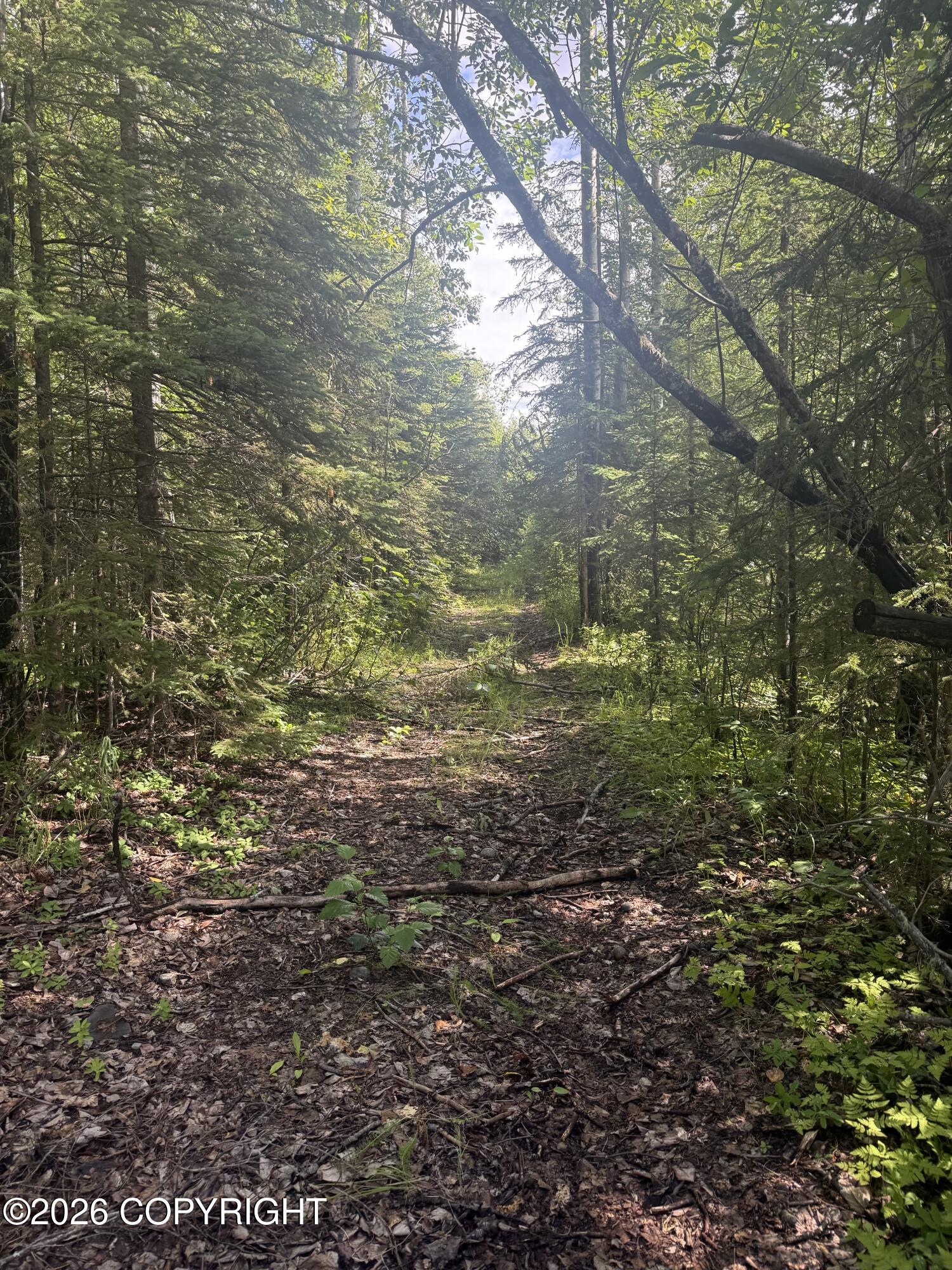 17 Lots W Russ Drive