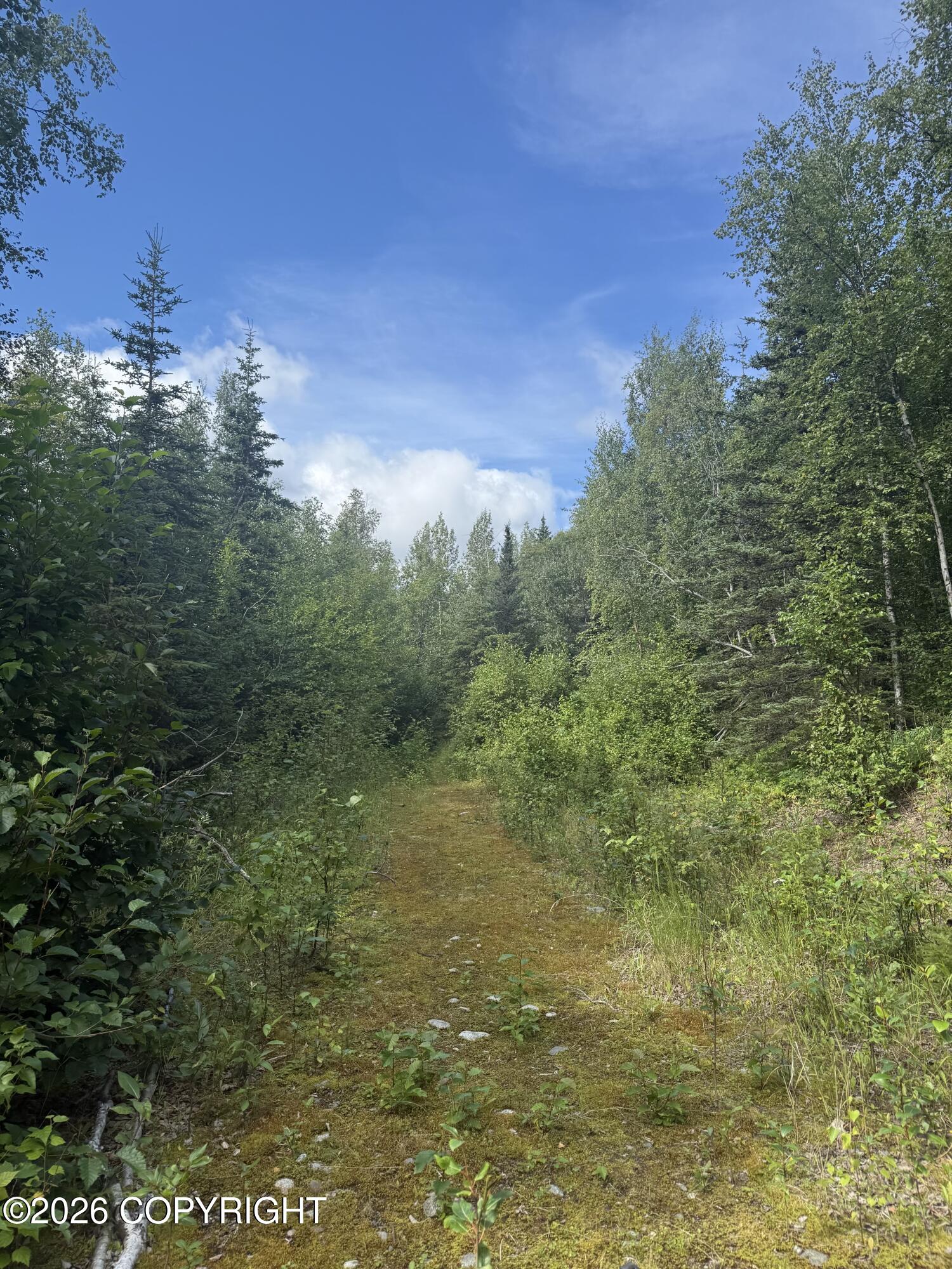 17 Lots W Russ Drive