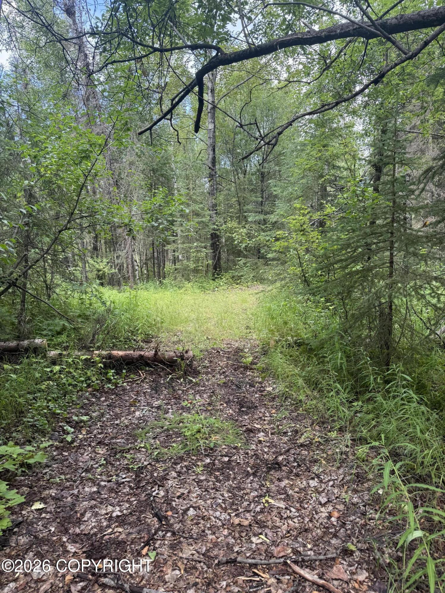 17 Lots W Russ Drive