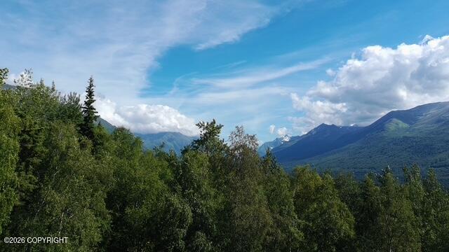 22601 Eagle Glacier Loop