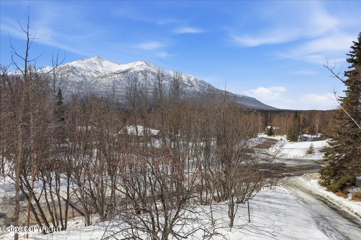 22601 Eagle Glacier Loop