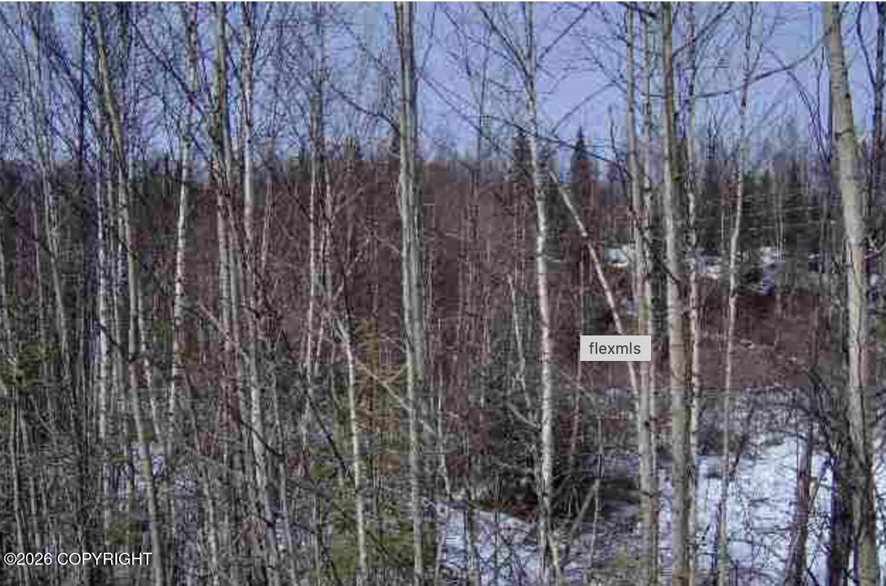 33271 Talkeetna Spur Road