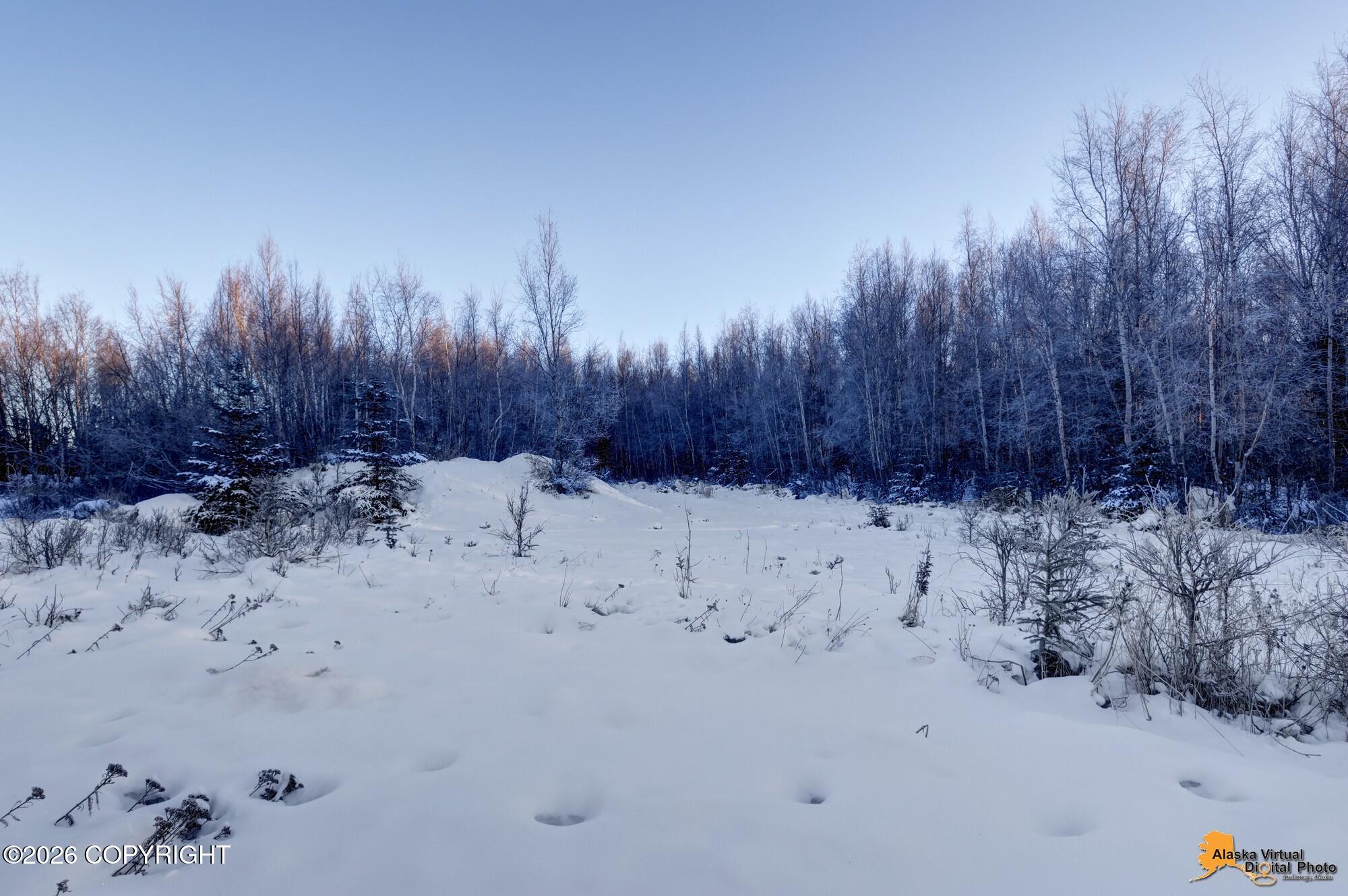 11577 Discovery View Drive