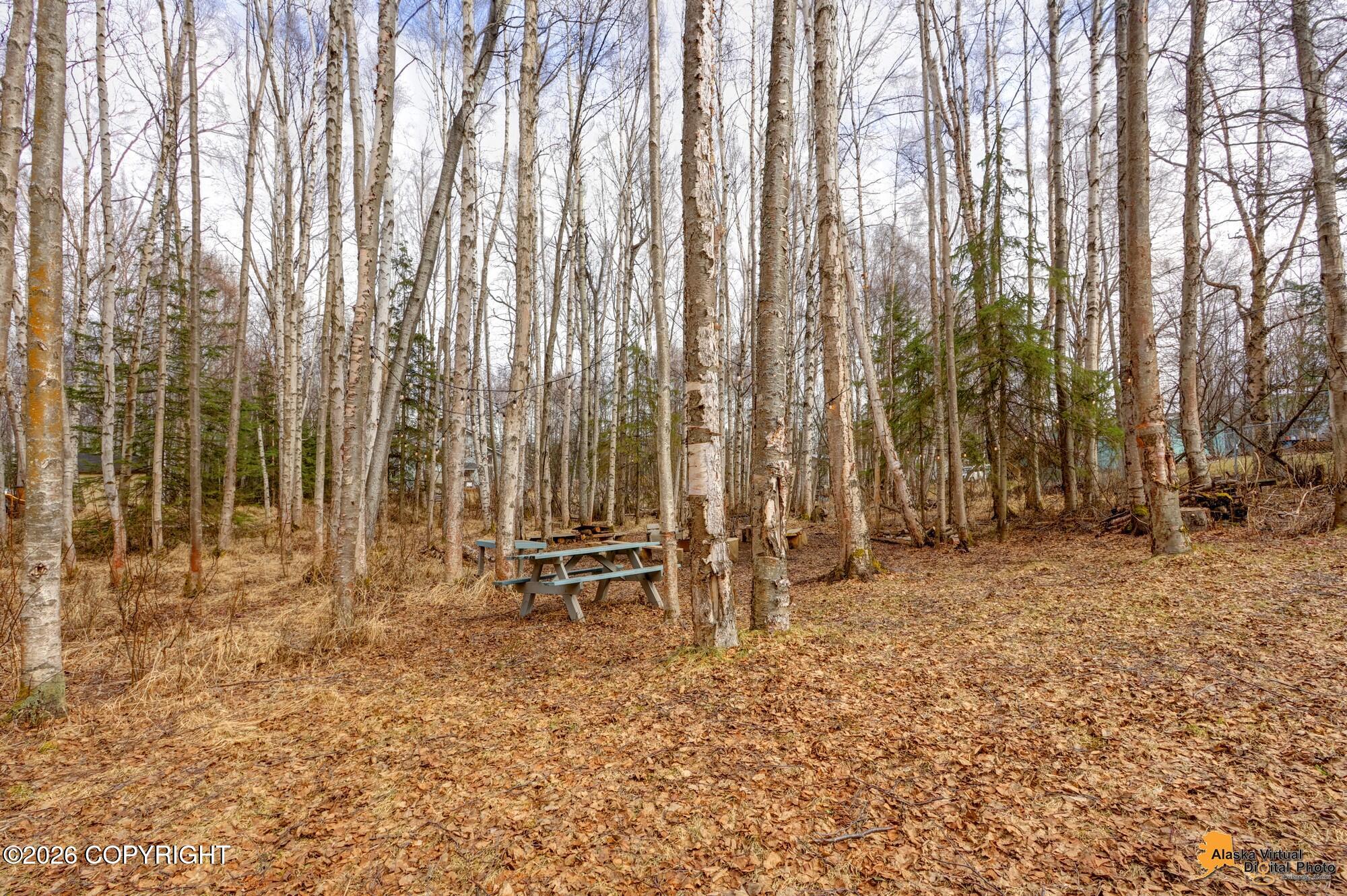 5221 Wandering Drive