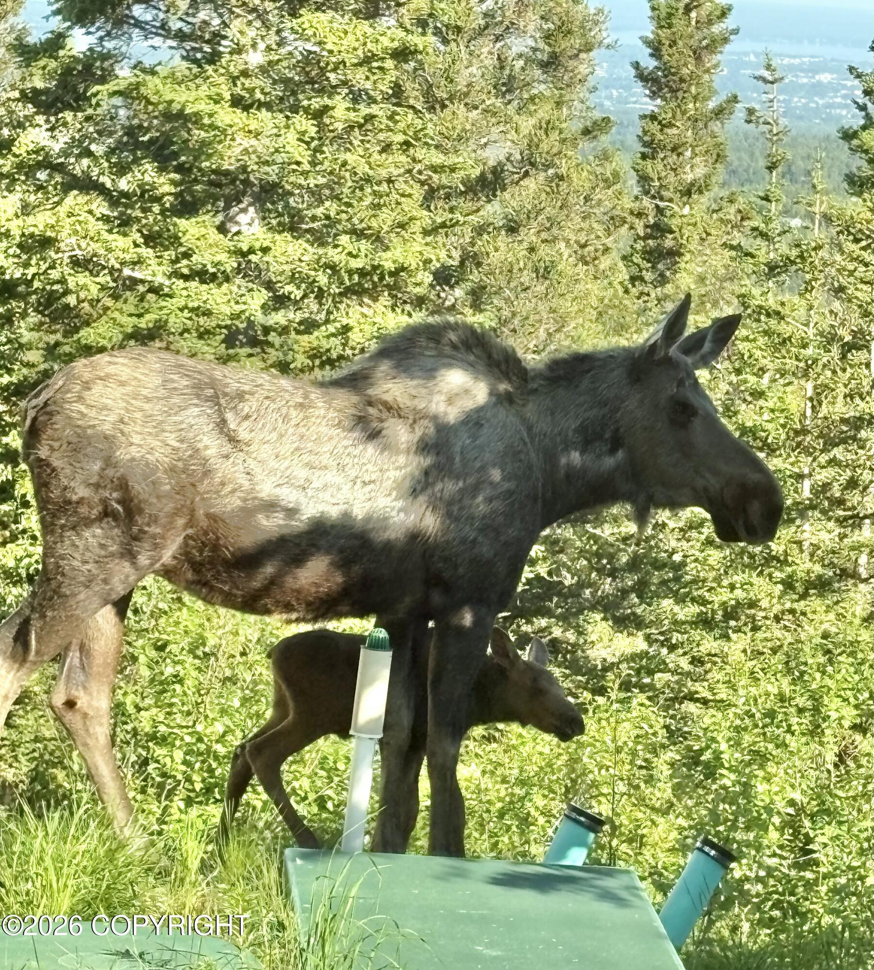 16290 Mountain Breeze Drive