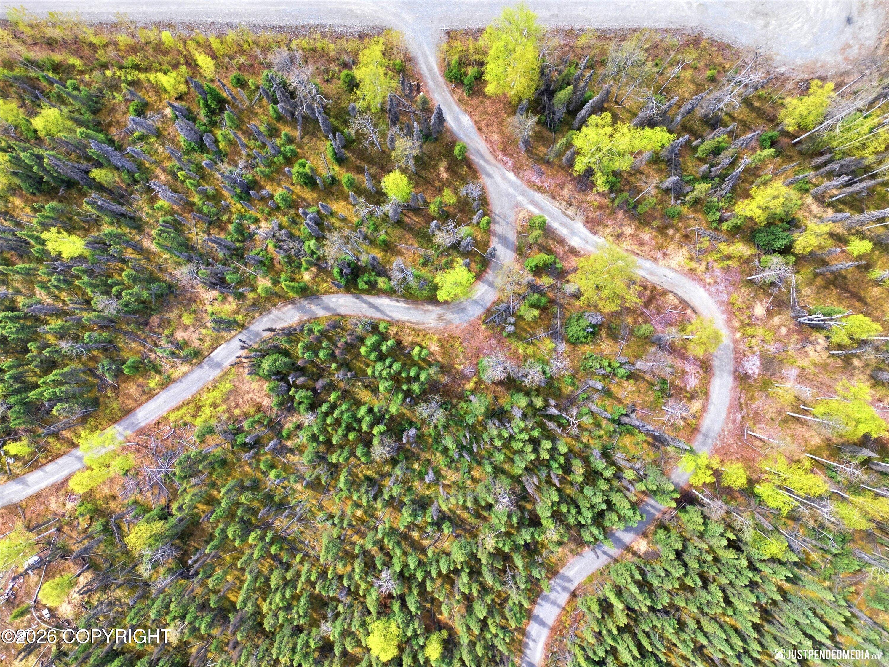 68641 S Denali Vista Drive