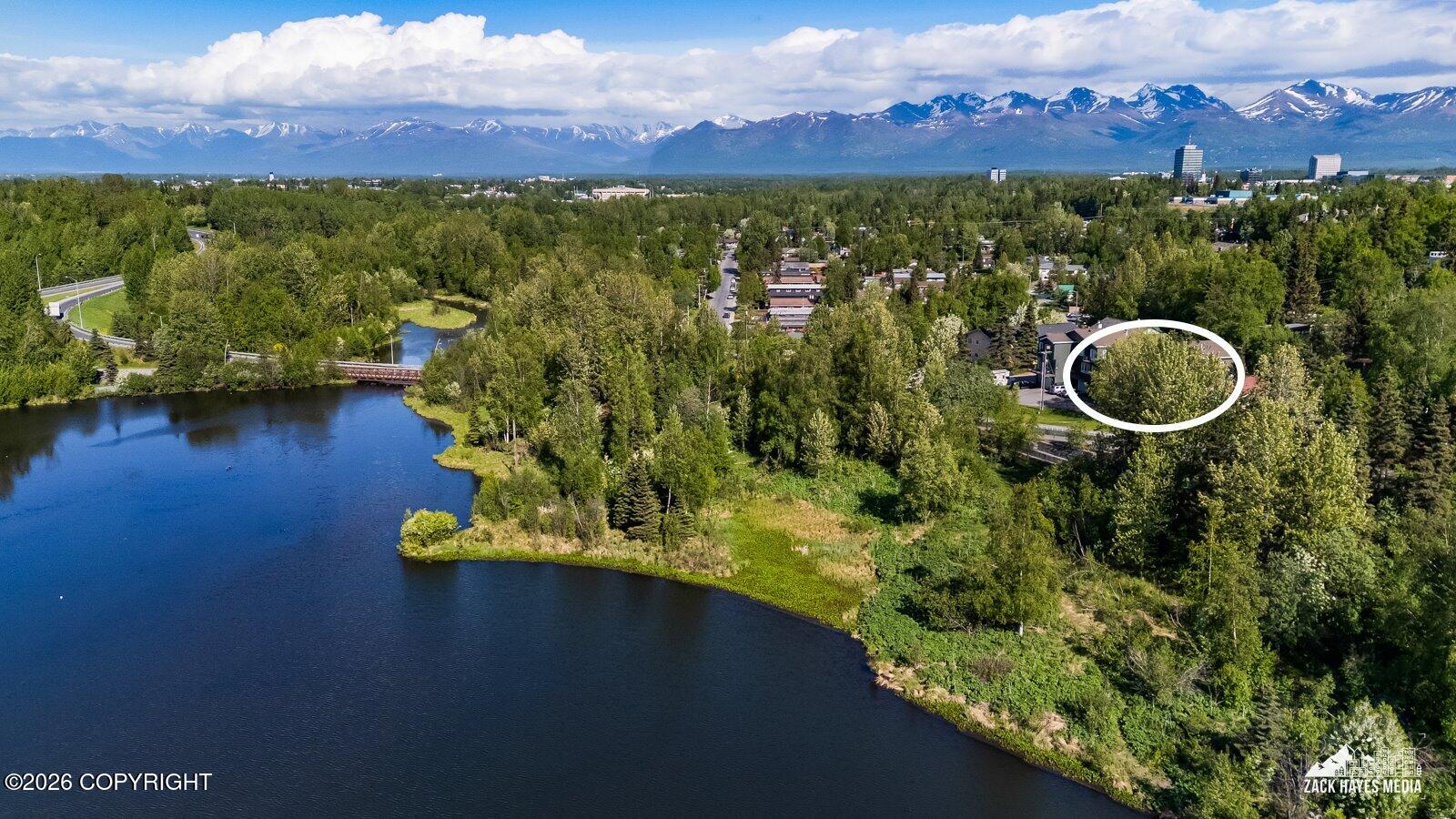 1925 Spenard Road # 3 Unit: #3