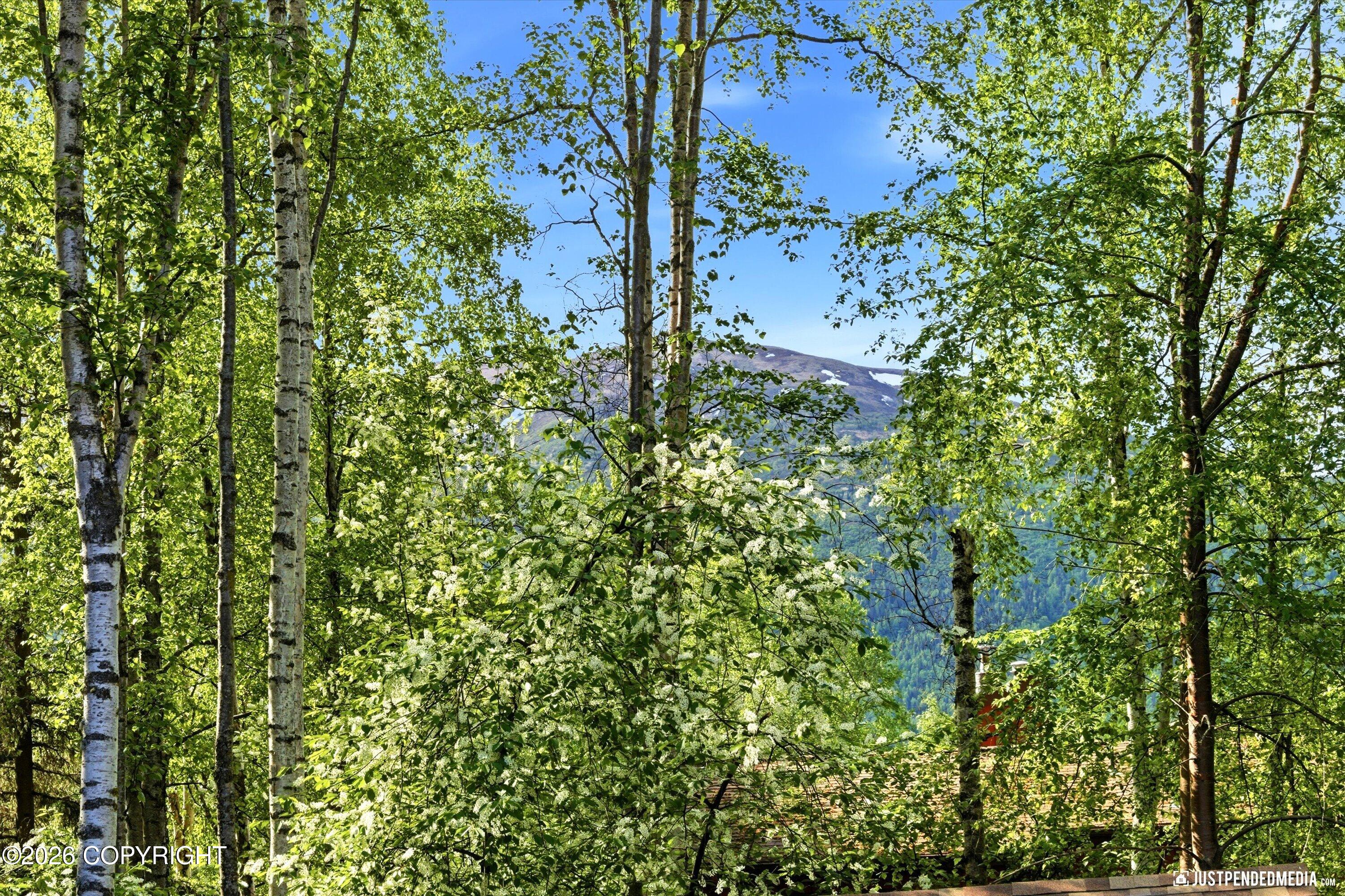 18640 Eaglewood Loop
