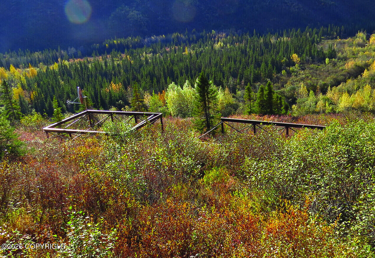 91.5 Denali Park Road