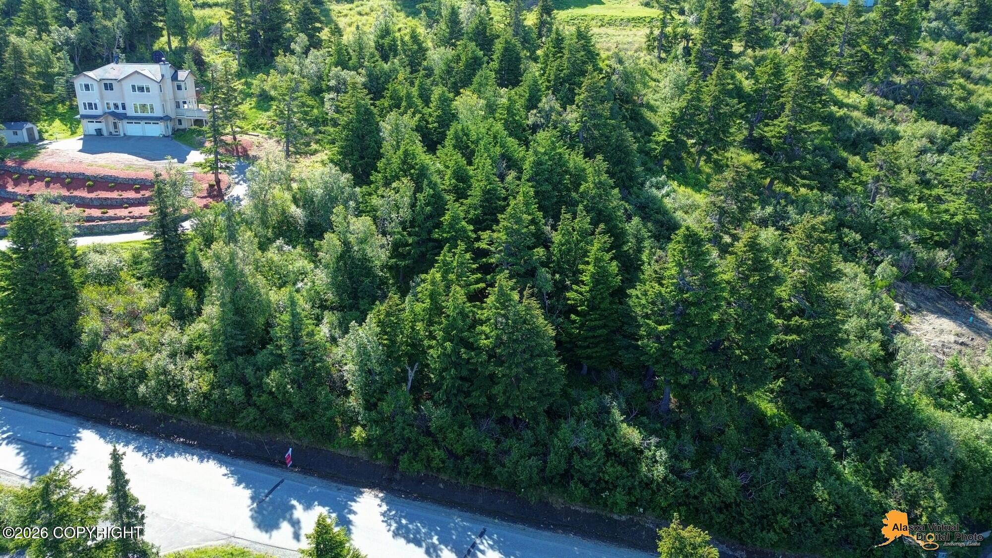 L5 Mountainside Village Drive