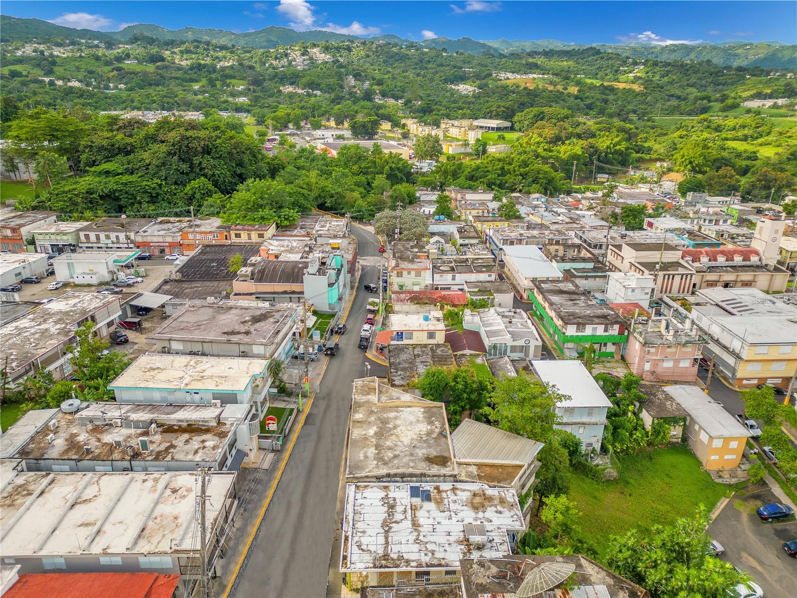 16 BUENA VISTA AVENUE, PUEBLO WARD DEV.