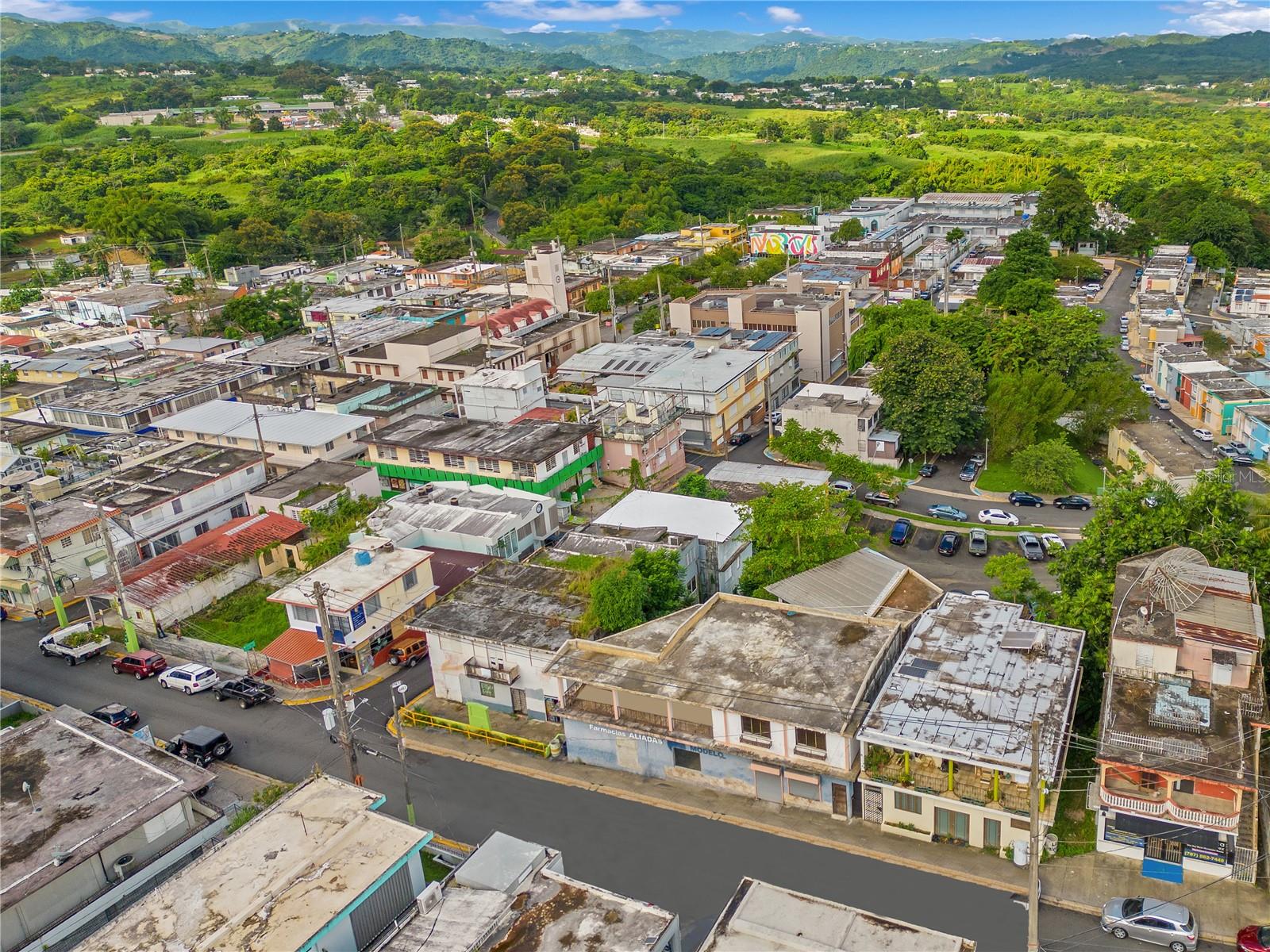 16 BUENA VISTA AVENUE, PUEBLO WARD DEV.