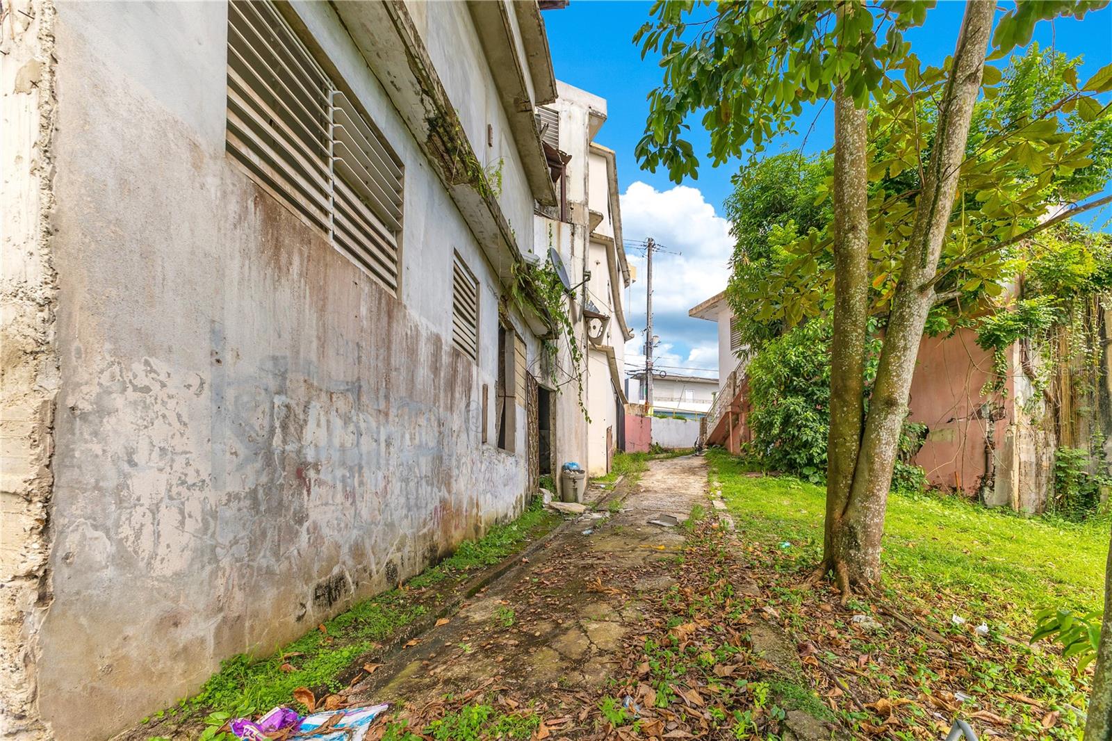 16 BUENA VISTA AVENUE, PUEBLO WARD DEV.