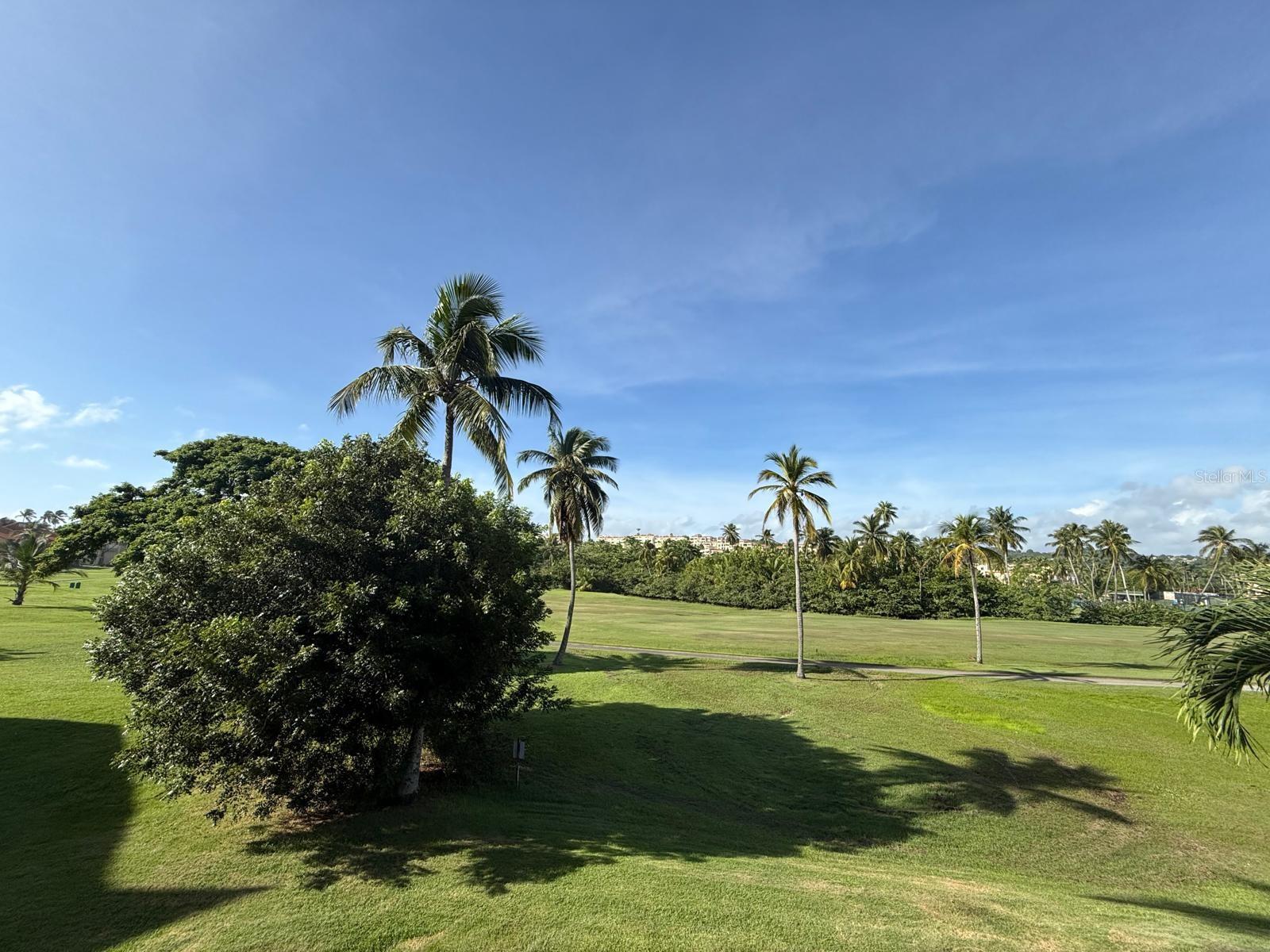 BEACH VILLAGE PALMAS DEL MAR #303