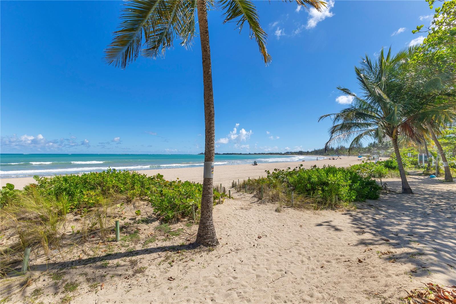 185 CALLE PINE GROVE #46-C