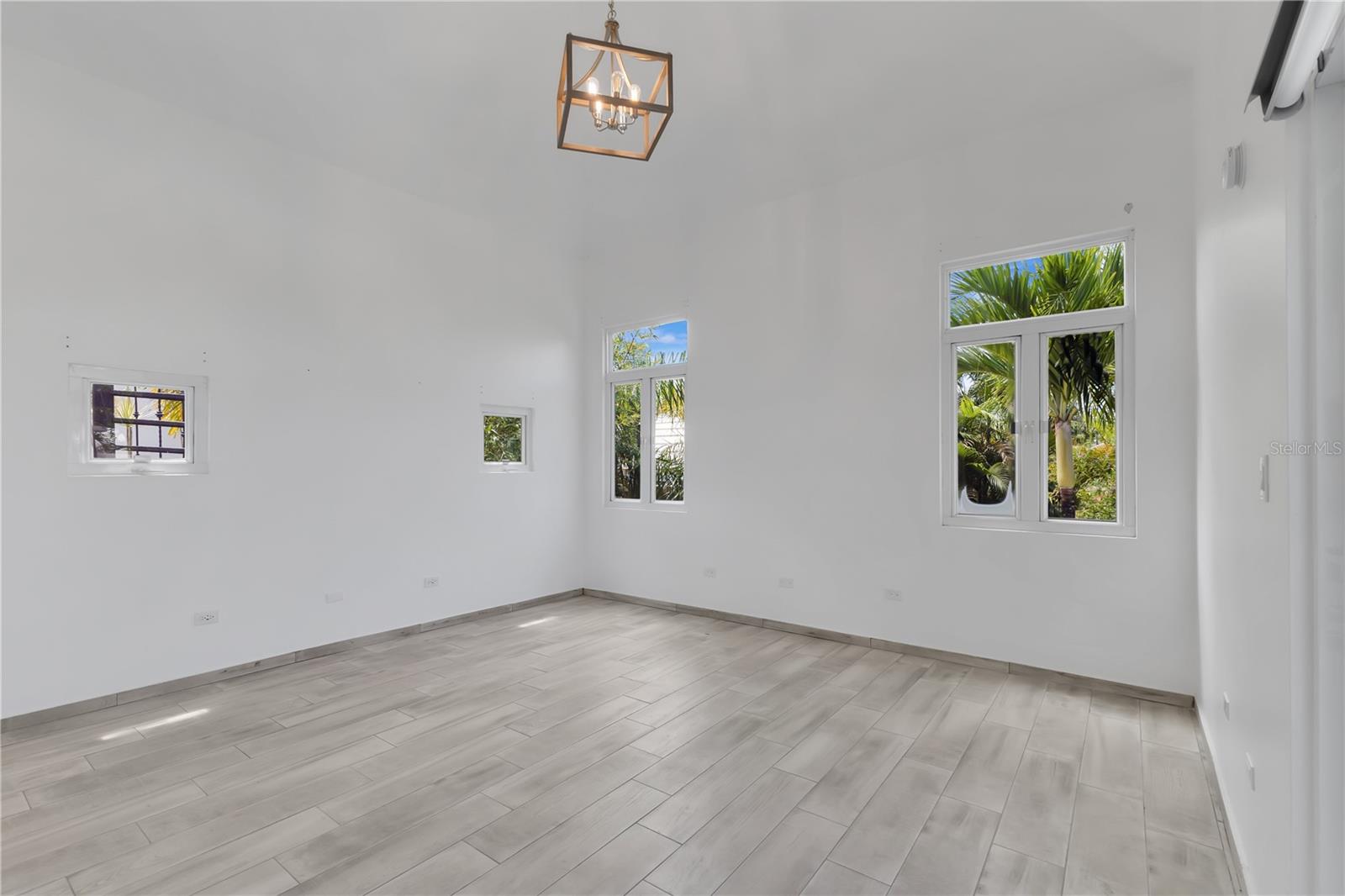 16 CALLE PALMA DE COCO