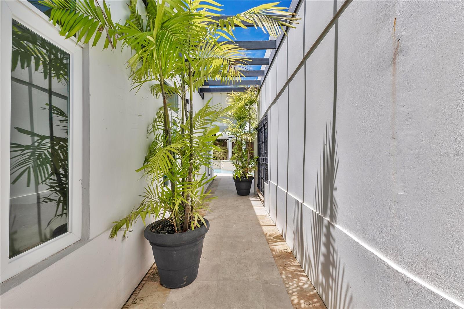 16 CALLE PALMA DE COCO