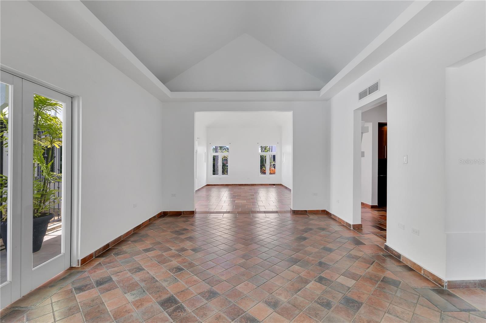 16 CALLE PALMA DE COCO