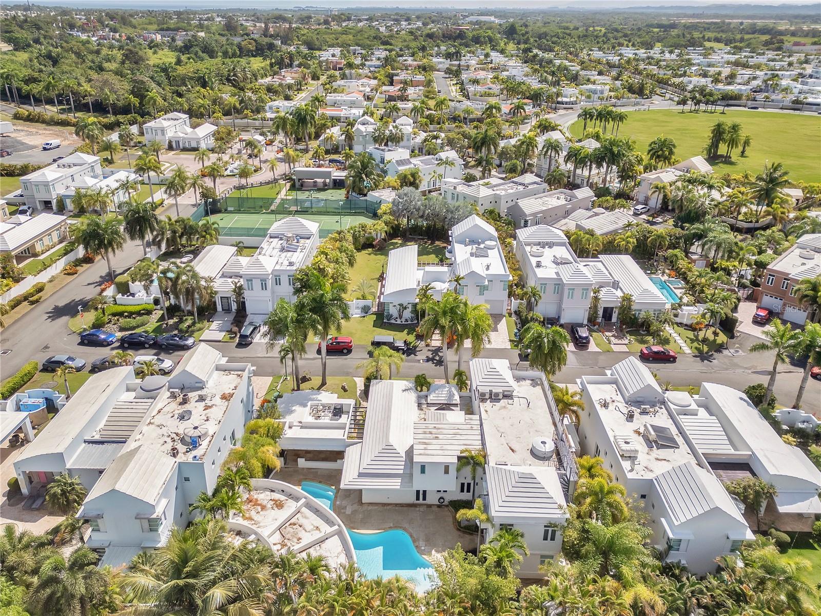 16 CALLE PALMA DE COCO