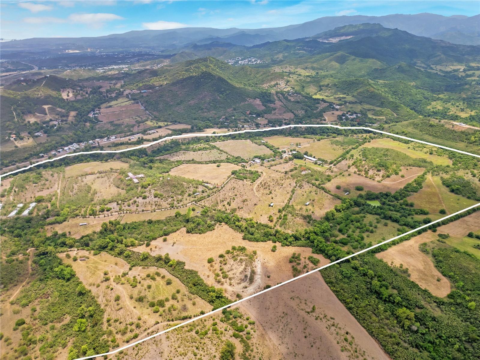 536 CARR 536 INTERIOR DESCALABRADO WARD