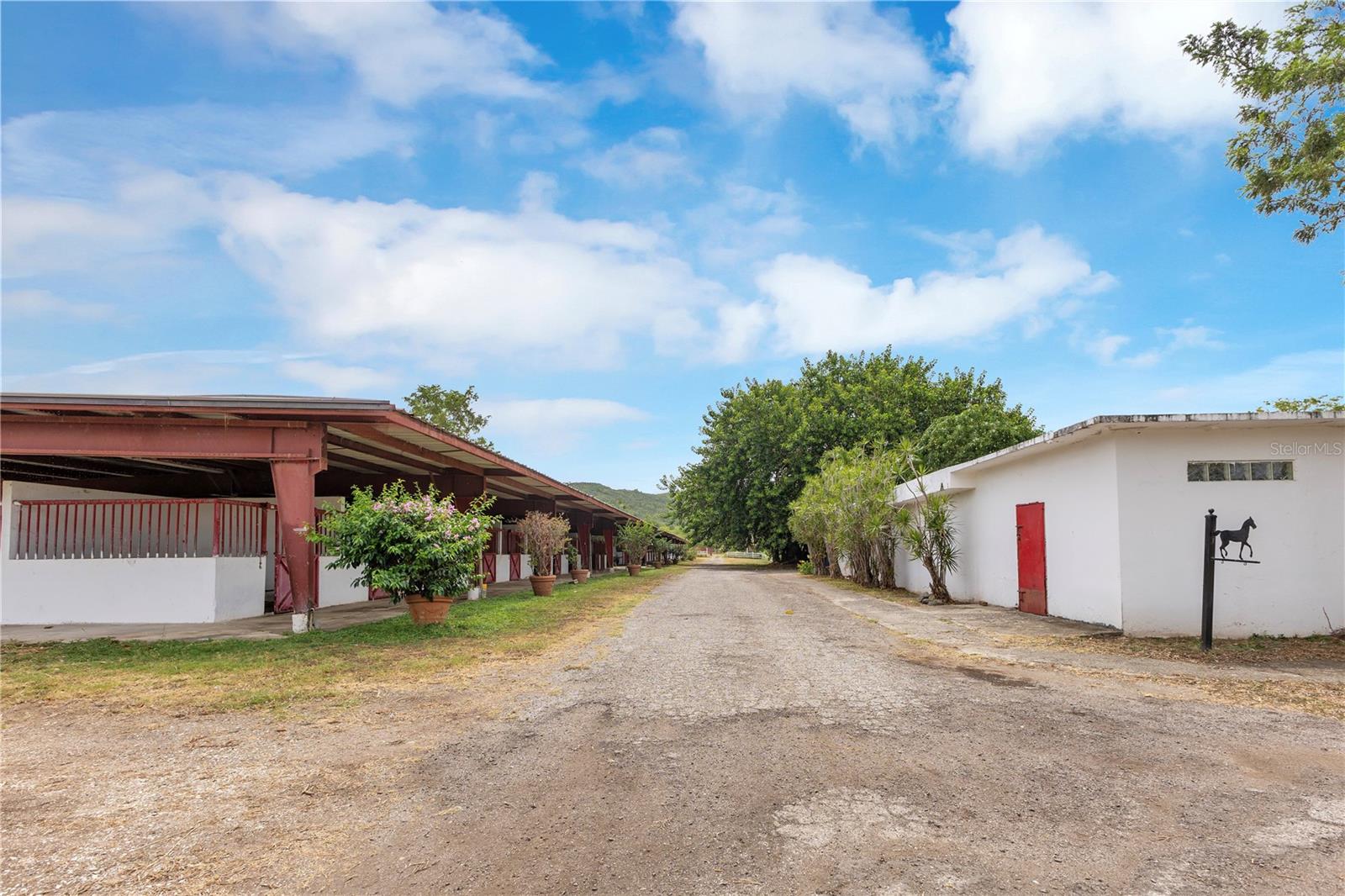 536 CARR 536 INTERIOR DESCALABRADO WARD