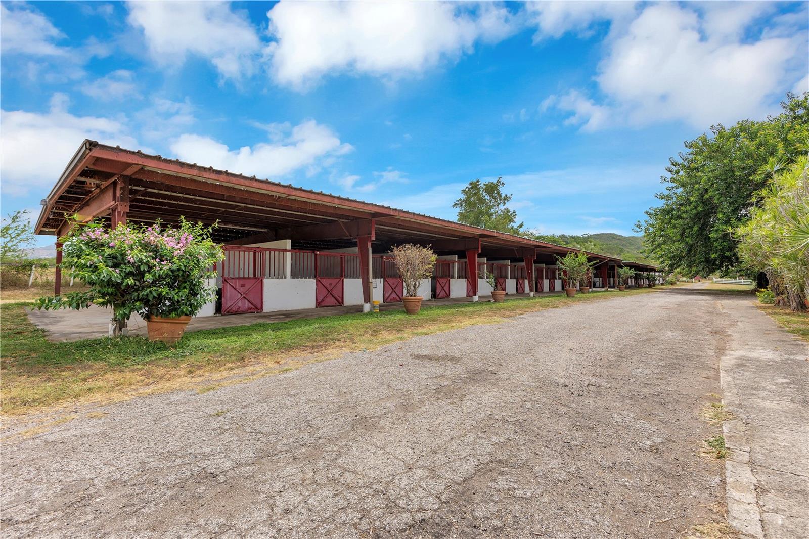 536 CARR 536 INTERIOR DESCALABRADO WARD