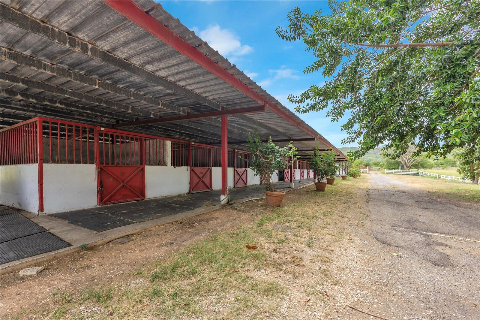 536 CARR 536 INTERIOR DESCALABRADO WARD