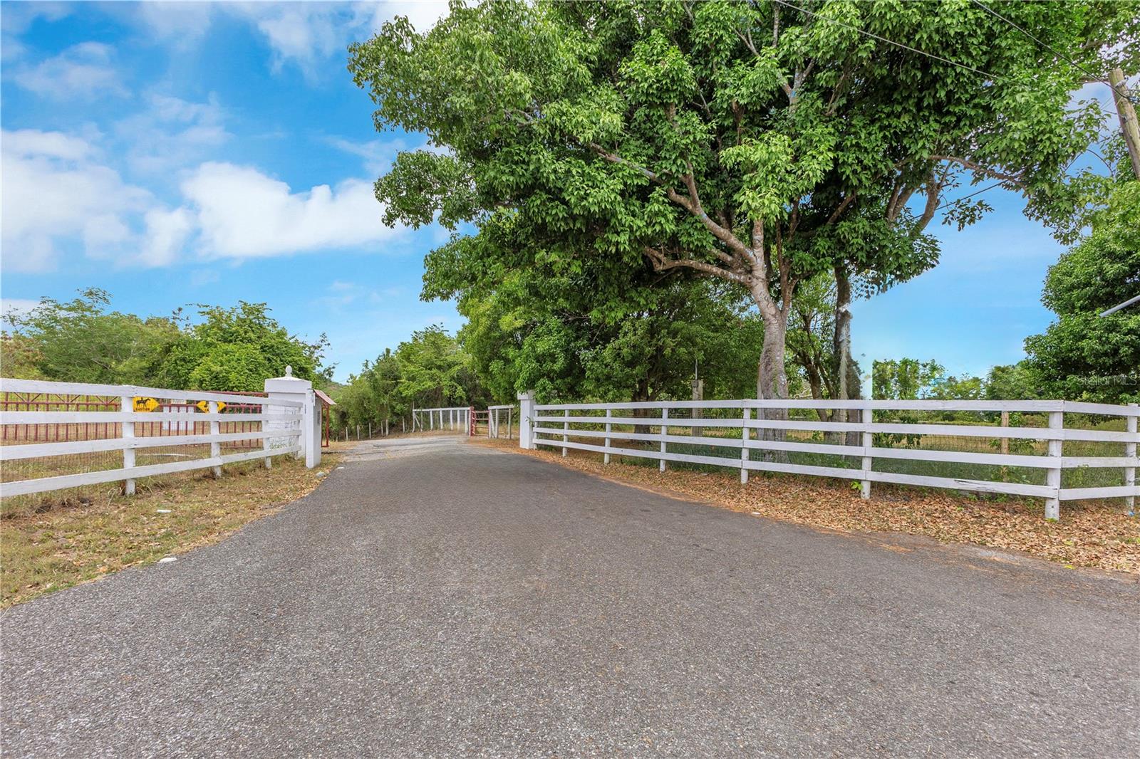 536 CARR 536 INTERIOR DESCALABRADO WARD