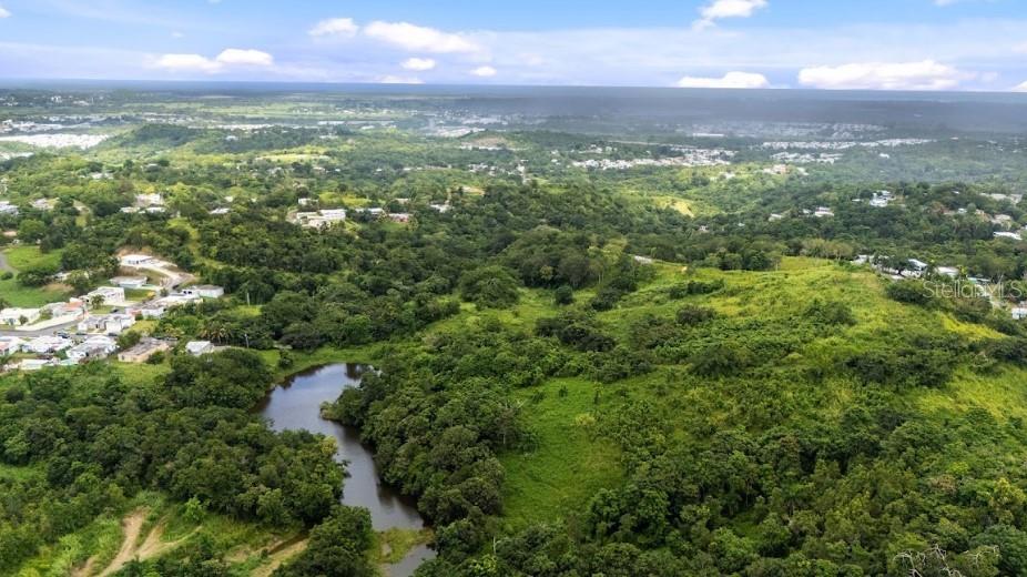 PR-962 INT. CAMBALACHE