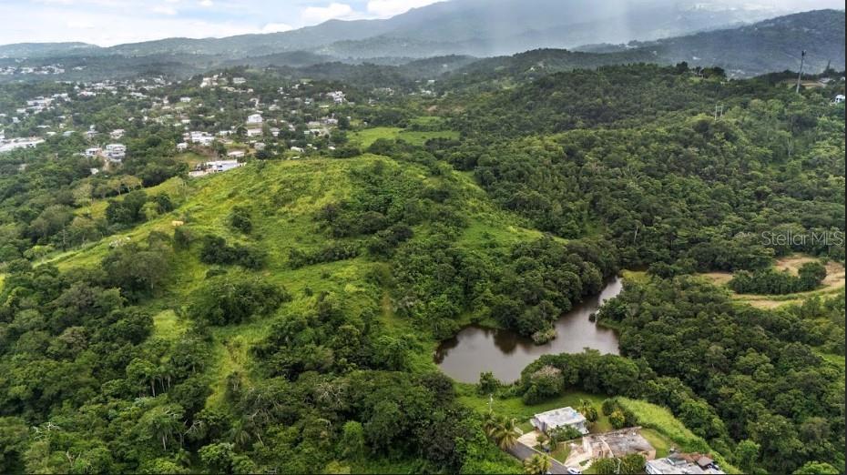 PR-962 INT. CAMBALACHE