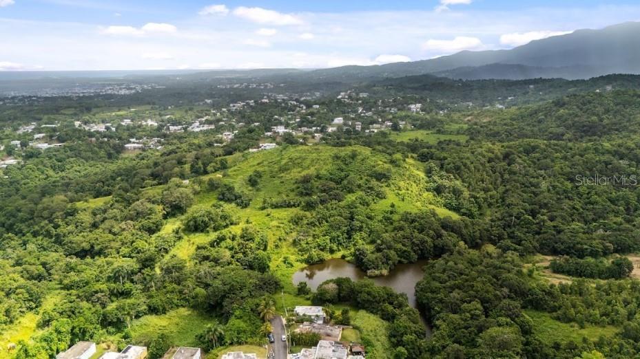 PR-962 INT. CAMBALACHE