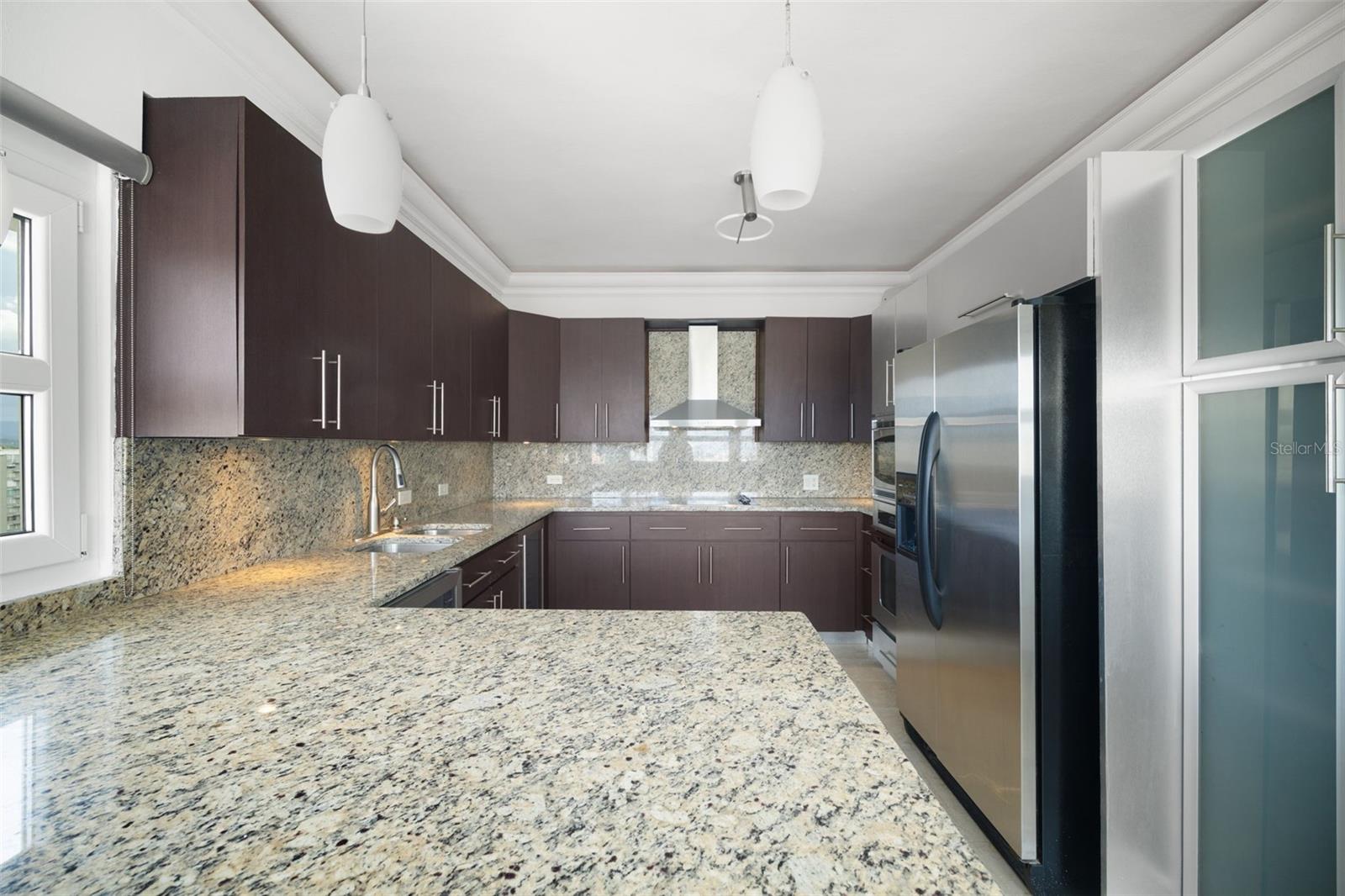 101 CALLE ORTEGON #1502