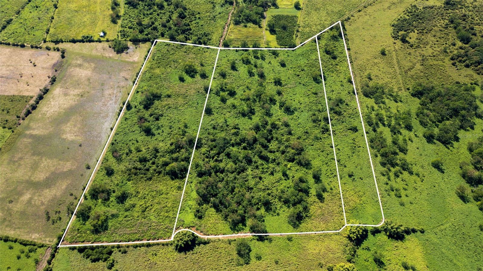 PR-2 KM 162 BO. BENAVENTE