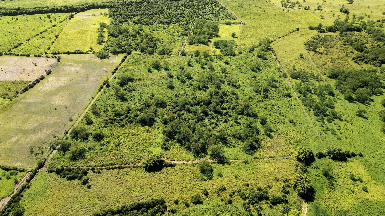 PR-2 KM 162 BO. BENAVENTE