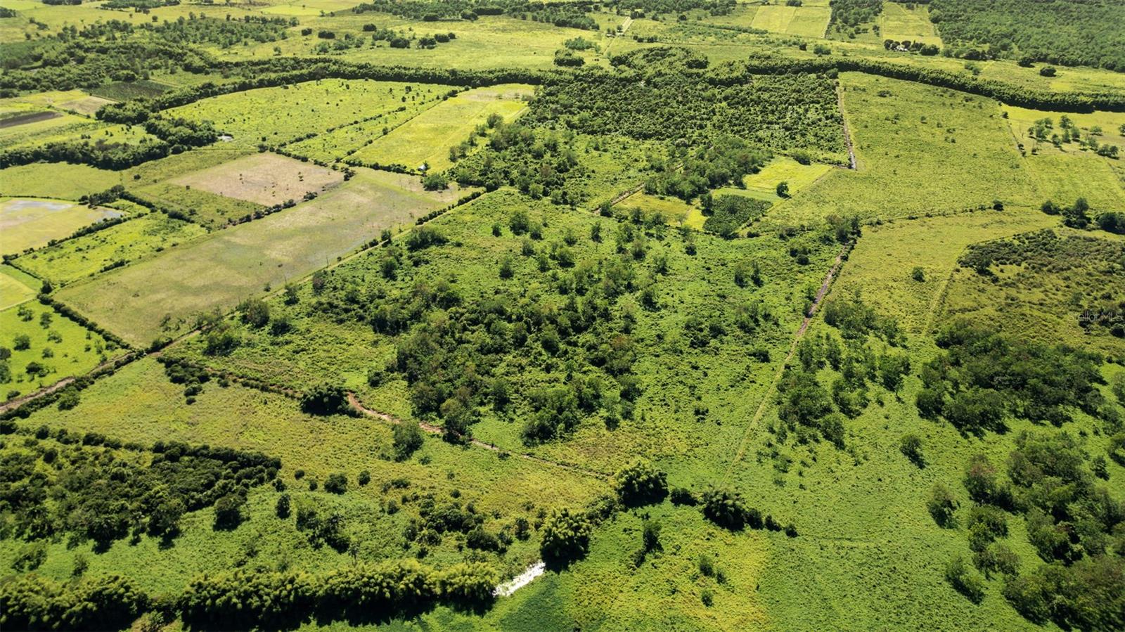 PR-2 KM 162 BO. BENAVENTE