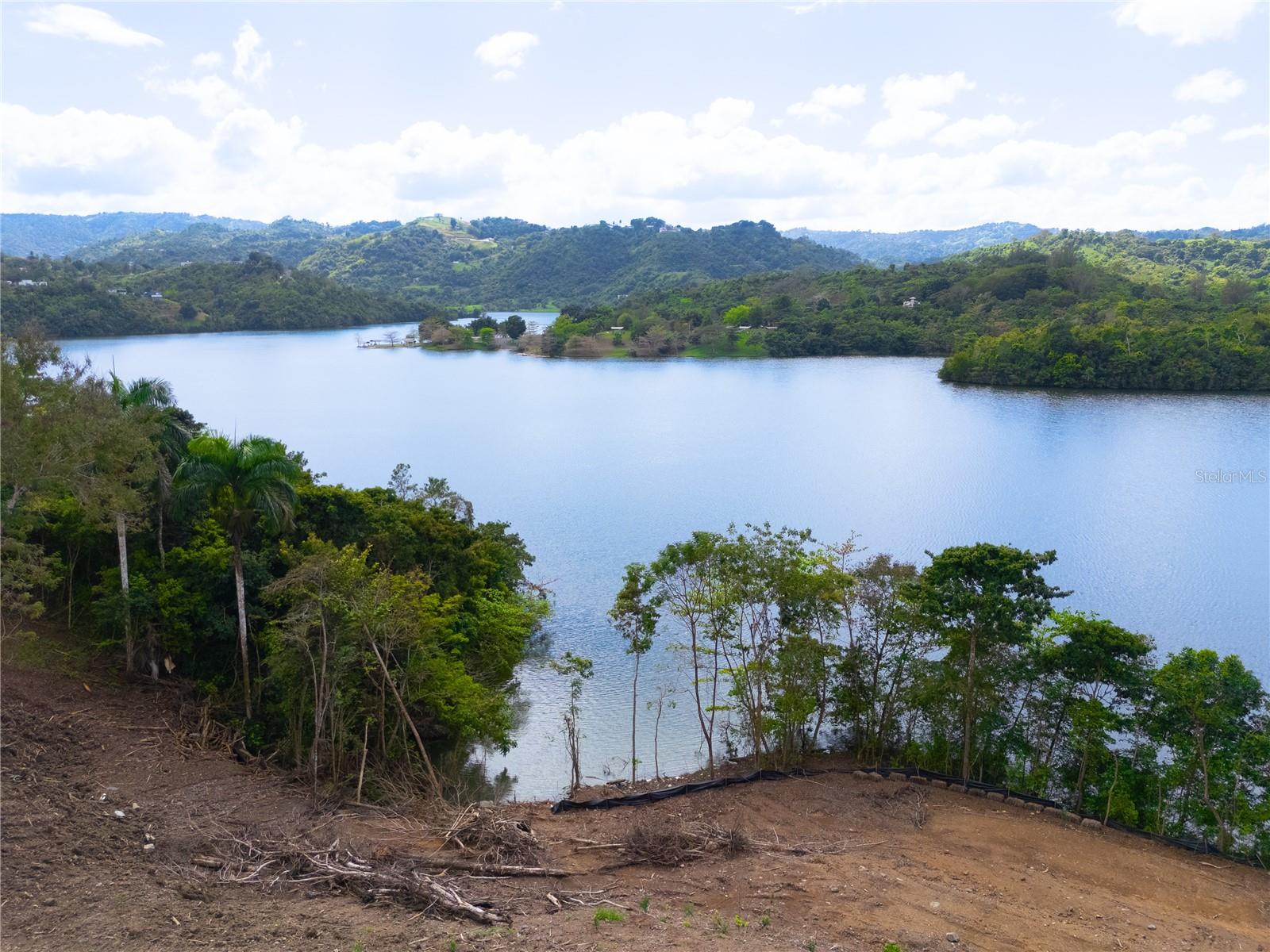 CARR 827 KM 5.0, INTERIOR, BO. ORTIZ, LOT 2